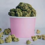 Growing THCA Flower: Advice and Strategies