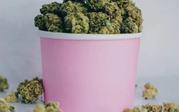 Growing THCA Flower: Advice and Strategies